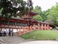 Nara : Kasugataisha